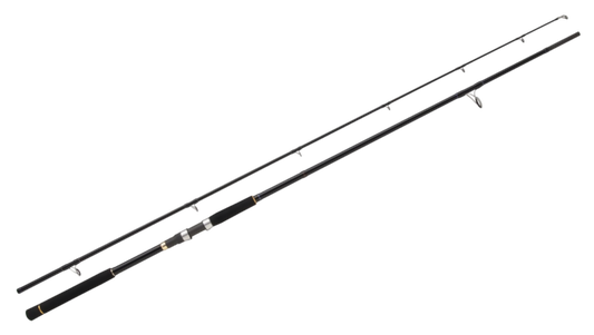 FIRSTCAST SHORE JIGGING