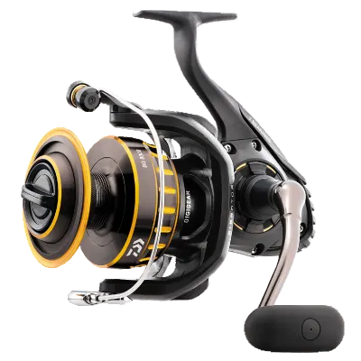 Daiwa BG Saltwater Spinning