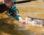 Daiwa BG MQ